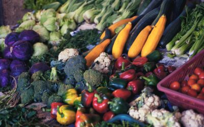 How Nutritional Choices Affect Your Oral Health